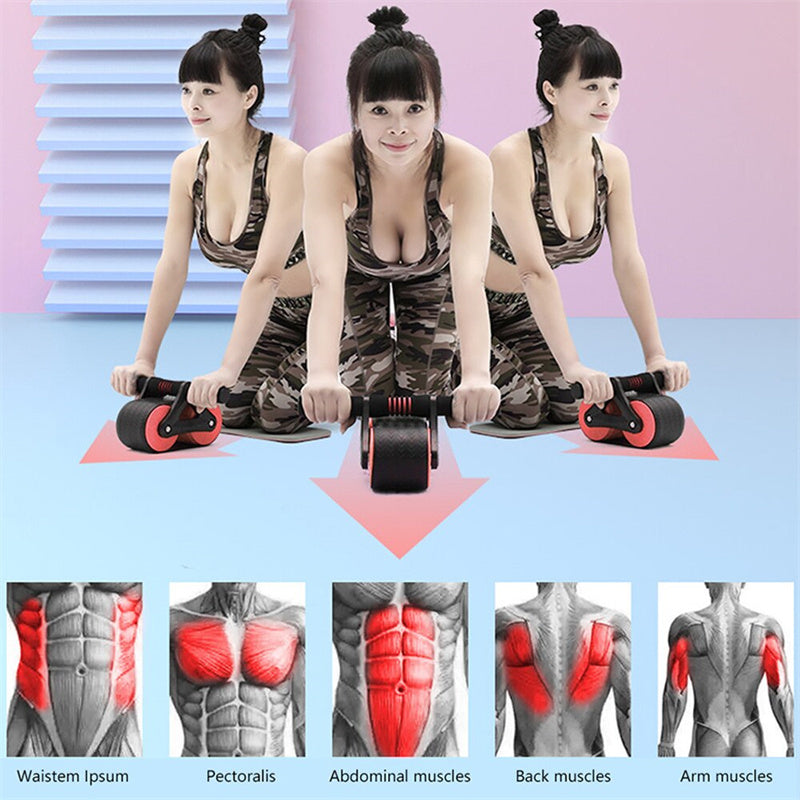 Double Wheel Abdominal Exerciser 